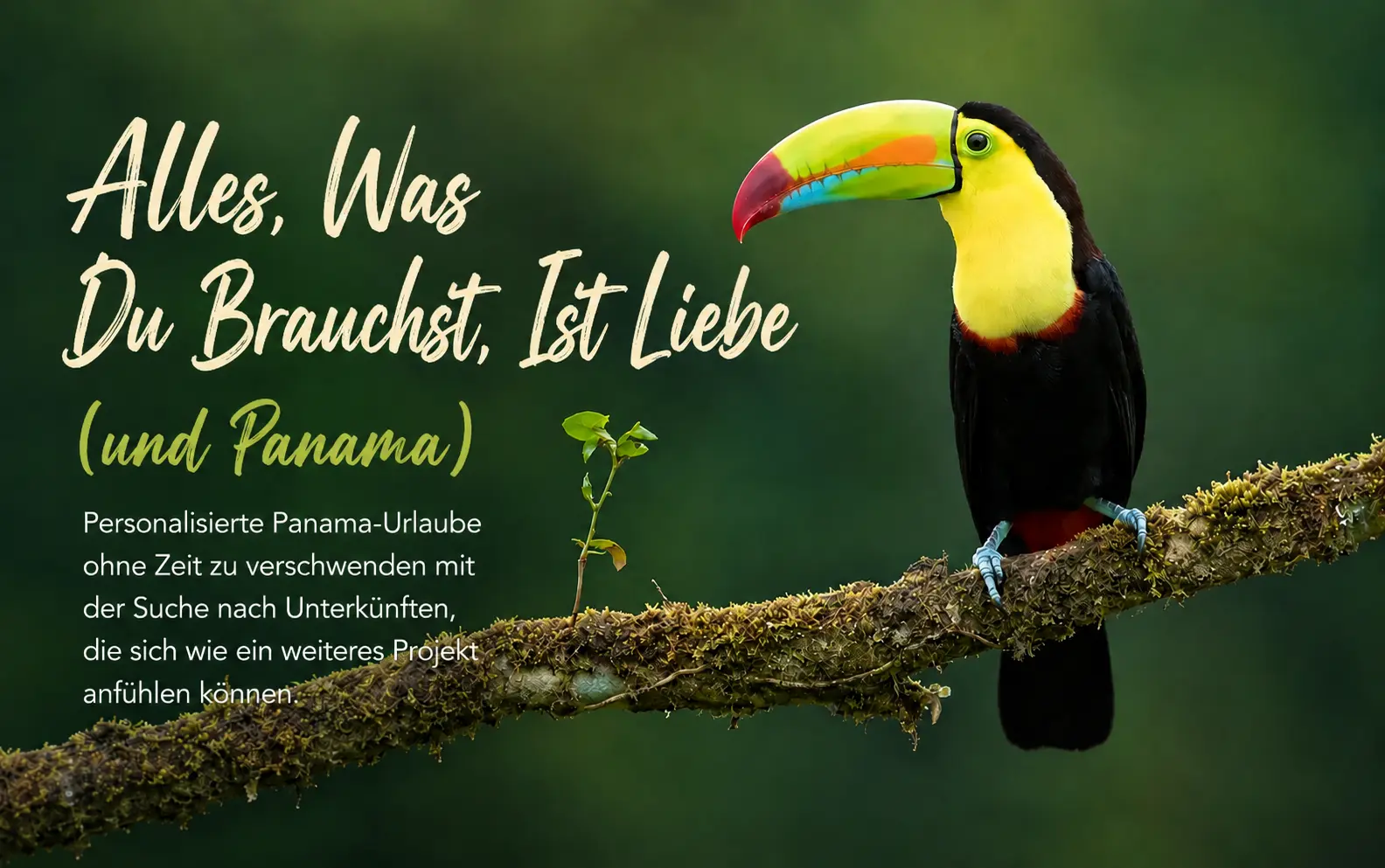 All You Need Is Love (and Panama)