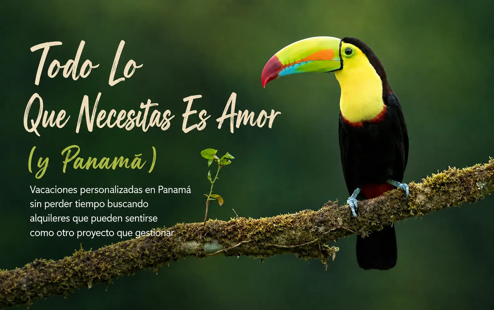 All You Need Is Love (and Panama)
